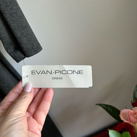 Evan Picone Modern Matters Dress - Picture 4 of 13